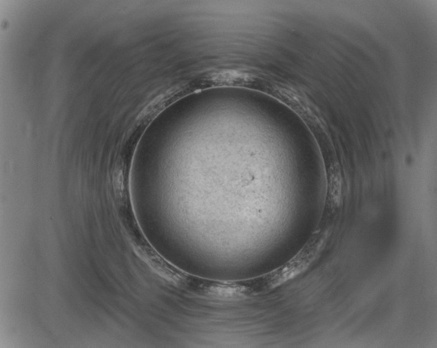 X0000083610375200702201256