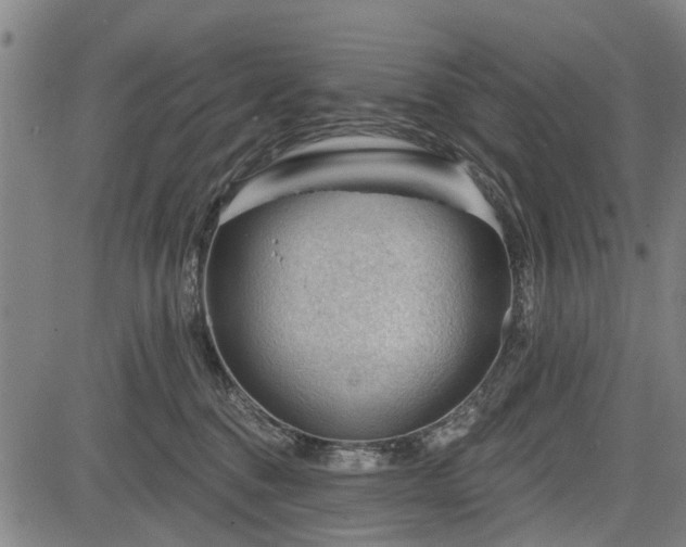 X0000083610376200702201256