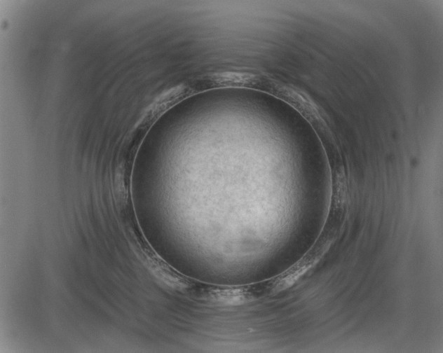 X0000083610377200702201256