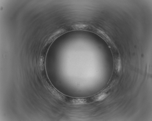 X0000083610378200702201256