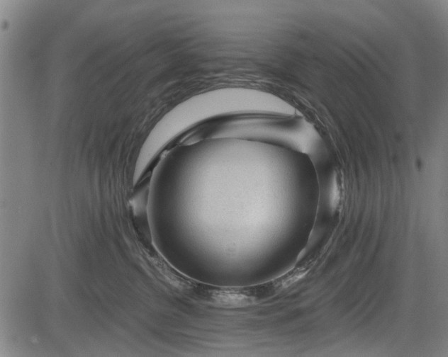 X0000083610380200702201256