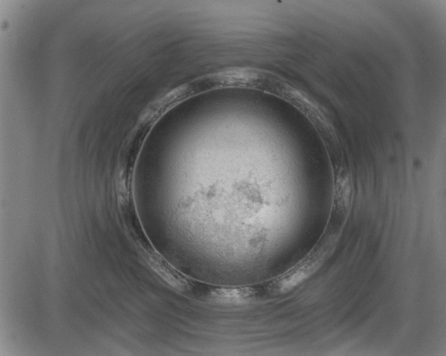 X0000083610381200702201256