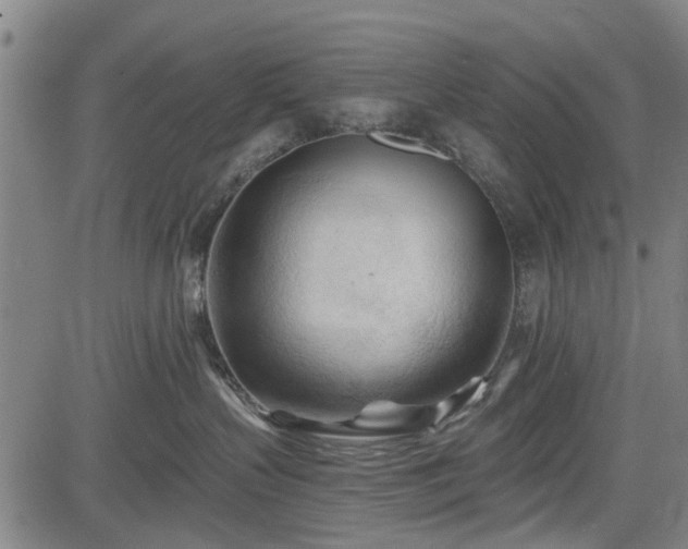 X0000083610383200702201256