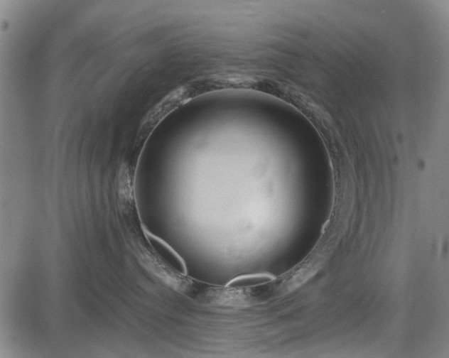 X0000083610384200702201256