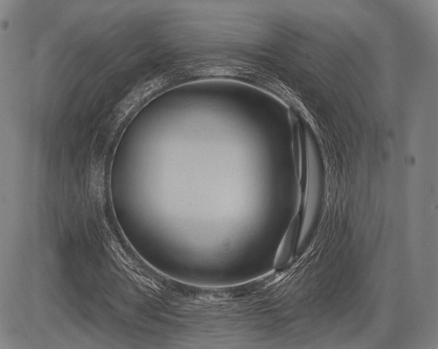 X0000083610386200702201255