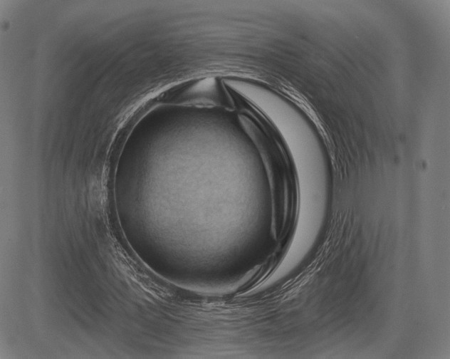 X0000083610387200702201255