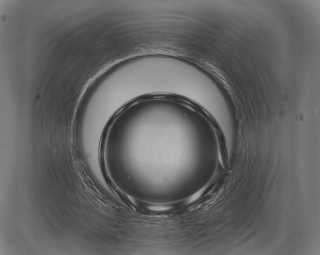 X0000083610388200702201255