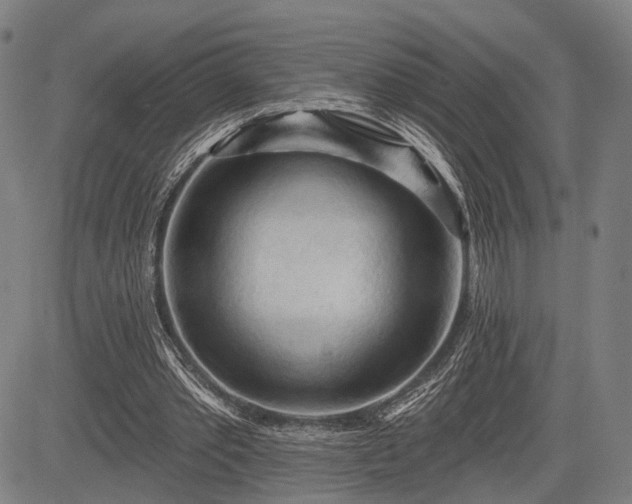 X0000083610389200702201255