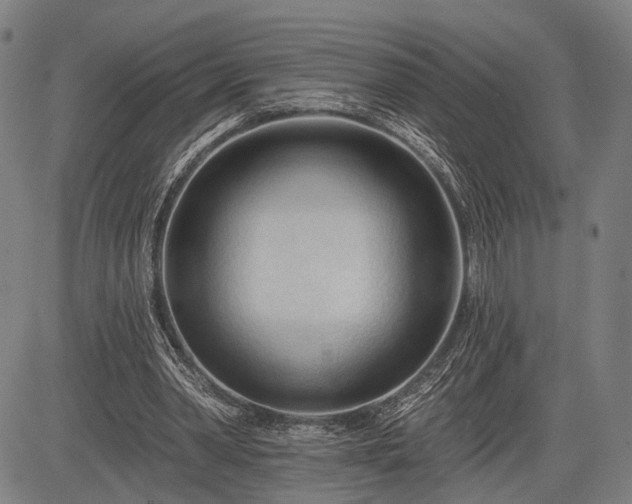 X0000083610390200702201255