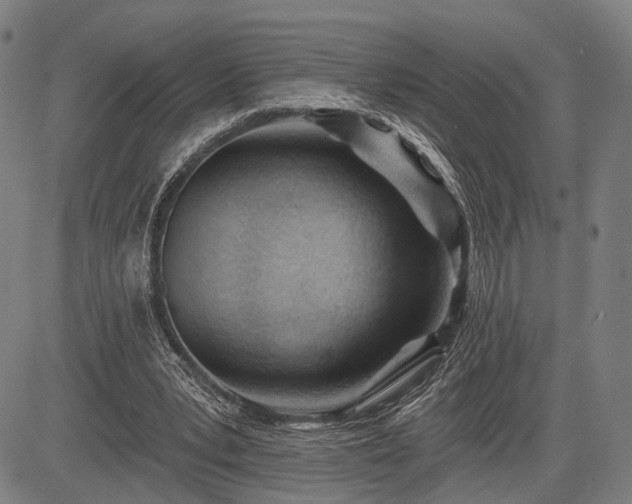 X0000083610391200702201255