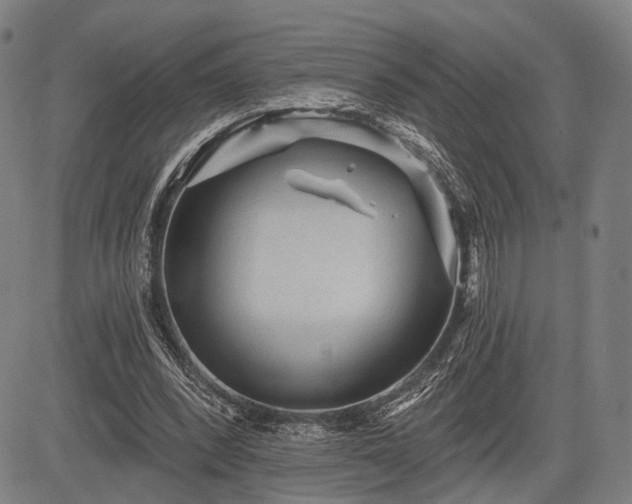 X0000083610392200702201255