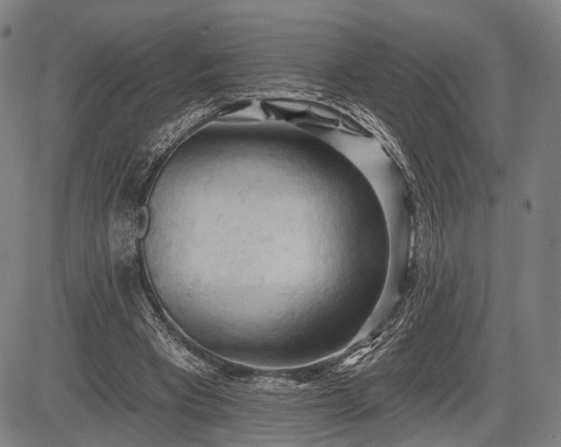 X0000083610393200702201255