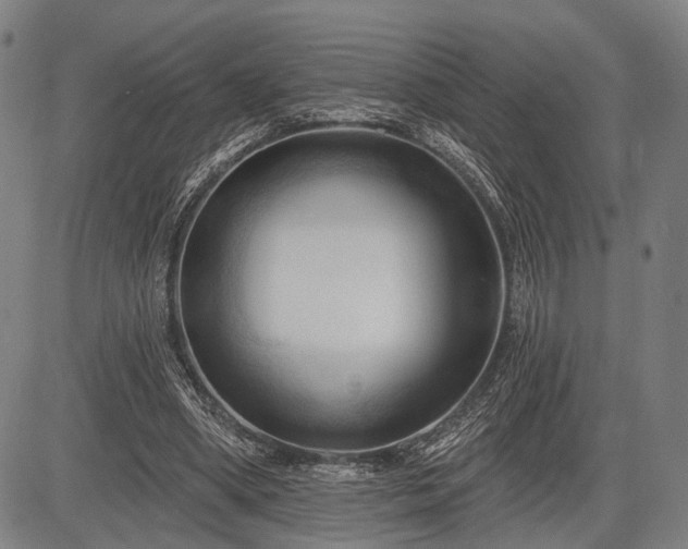 X0000083610394200702201255