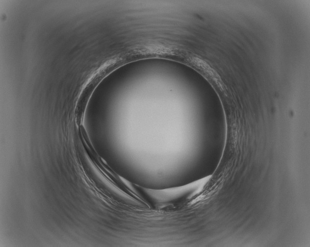 X0000083610395200702201255