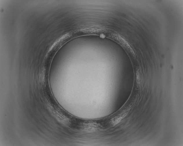 X0000083610396200702201255