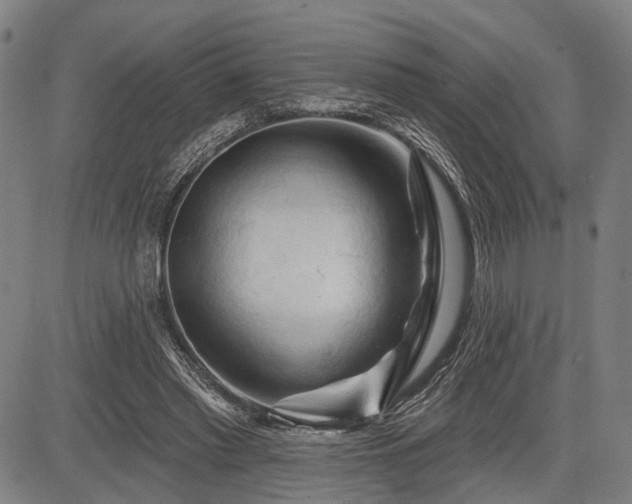 X0000083610397200702201255