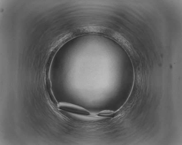 X0000083610398200702201255