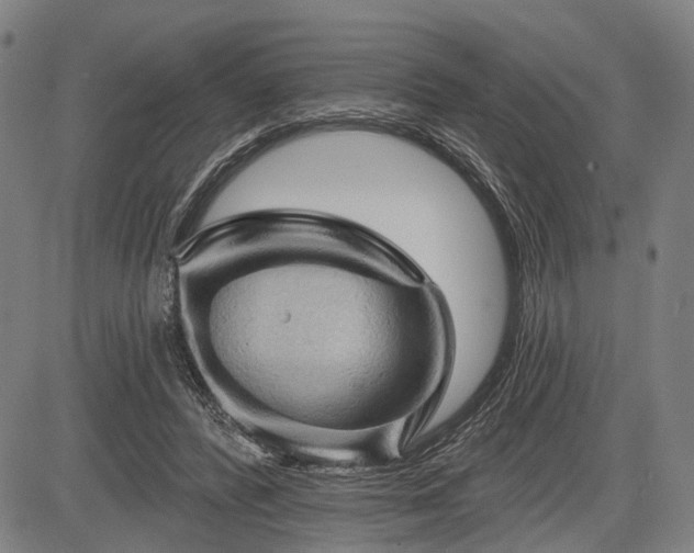 X0000083610400200702201255