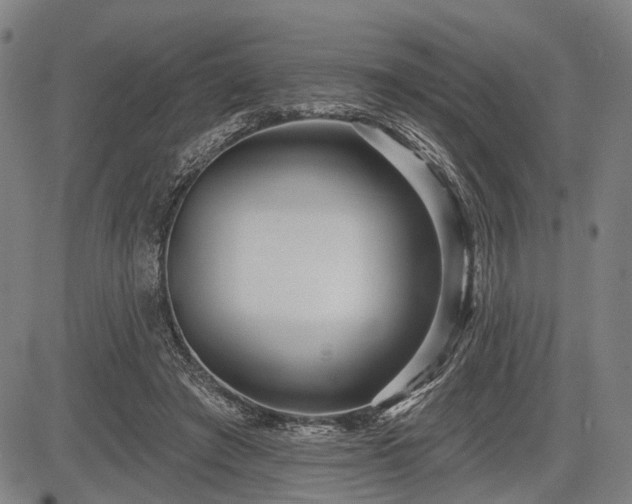 X0000083610401200702201255