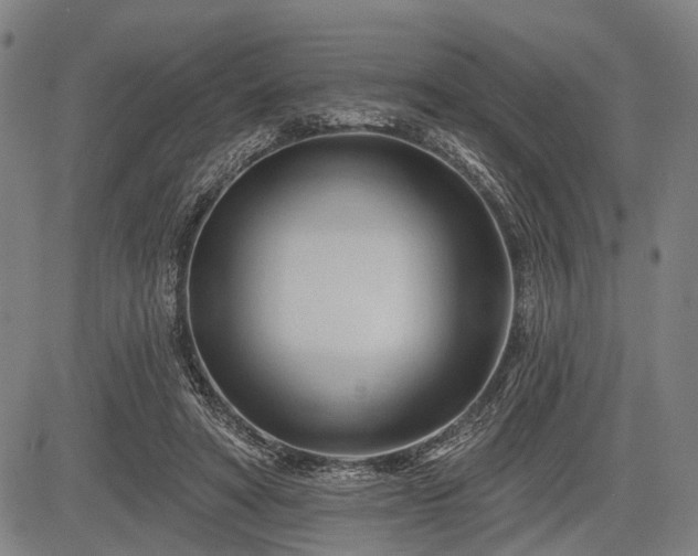 X0000083610402200702201255