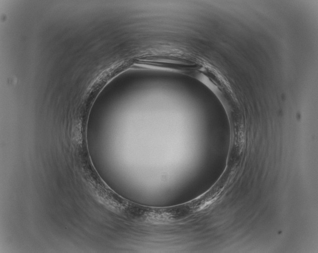 X0000083610403200702201255