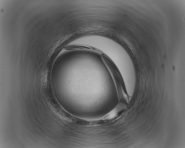 X0000083610404200702201255