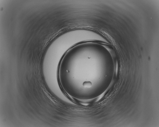 X0000083610405200702201255