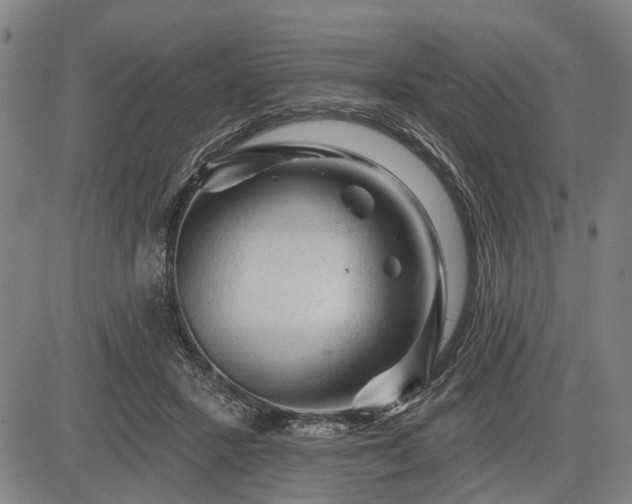 X0000083610407200702201255