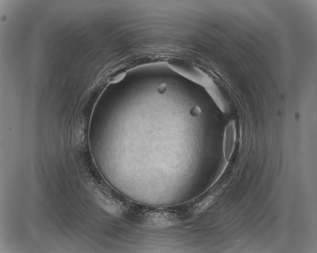 X0000083610408200702201255