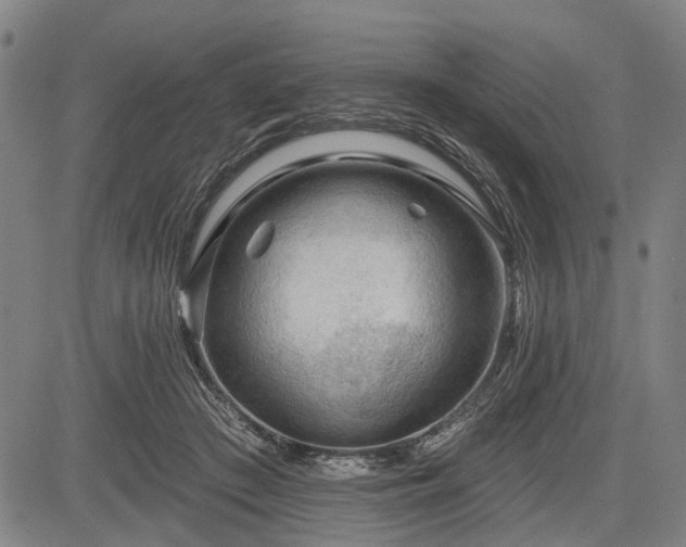 X0000083610409200702201255