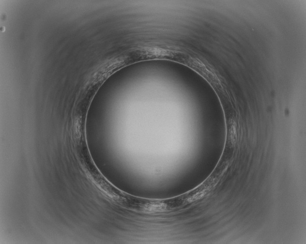 X0000083610410200702201255