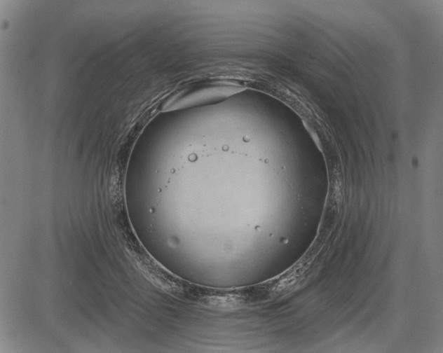 X0000083610411200702201255