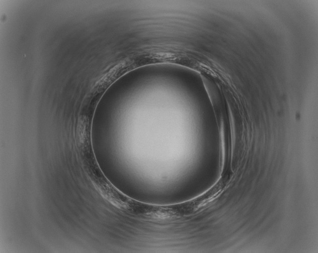 X0000083610412200702201255