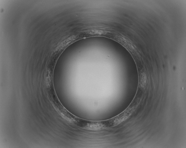 X0000083610414200702201255