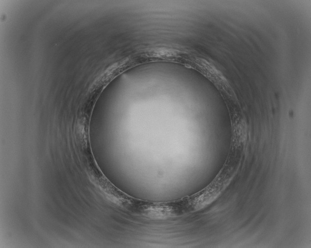 X0000083610415200702201255