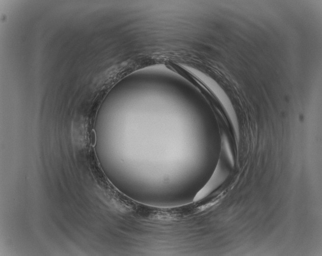 X0000083610416200702201255