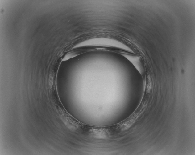 X0000083610417200702201255