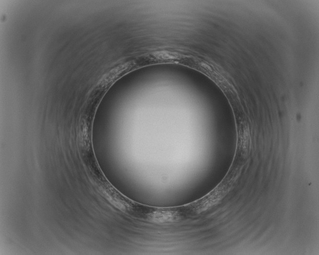 X0000083610418200702201255