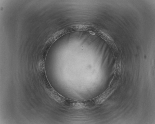 X0000083610419200702201255