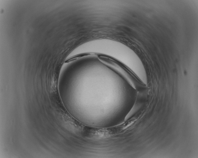 X0000083610420200702201255