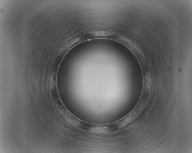 X0000083610422200702201255