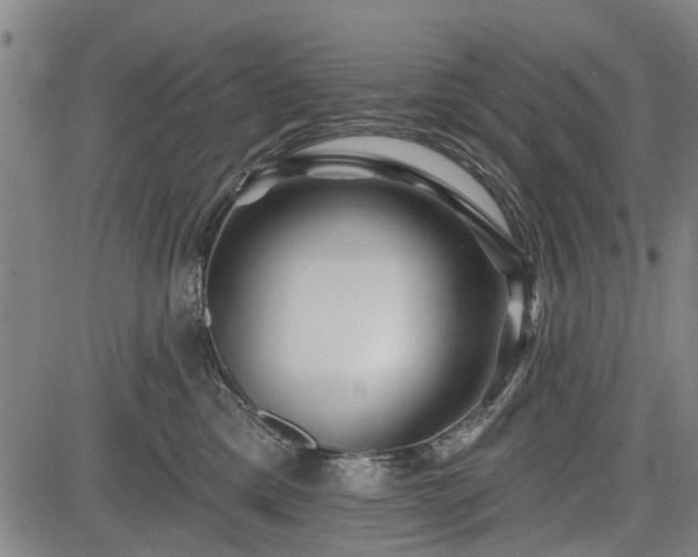 X0000083610425200702201255