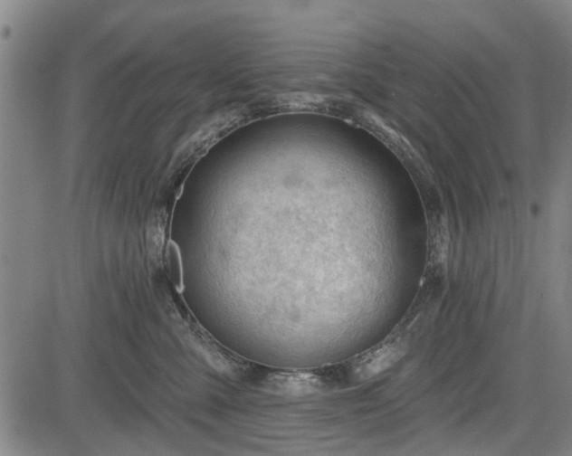 X0000083610427200702201255