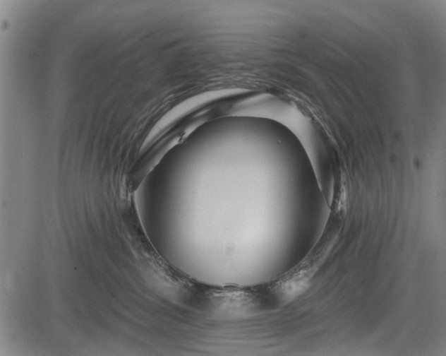 X0000083610428200702201255