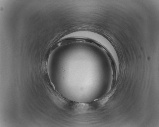 X0000083610429200702201255