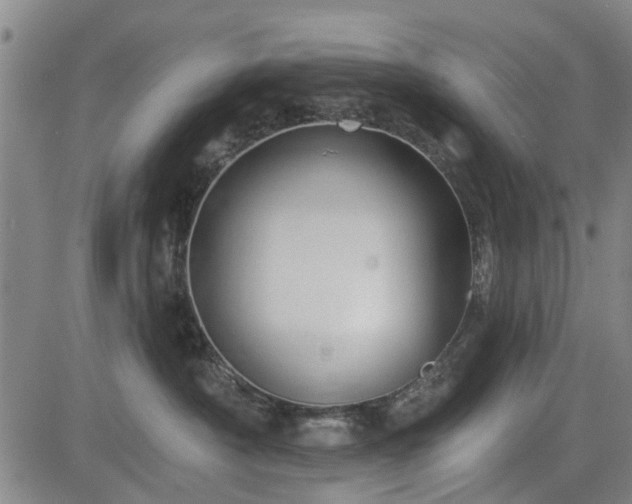 X0000083610430200702201255