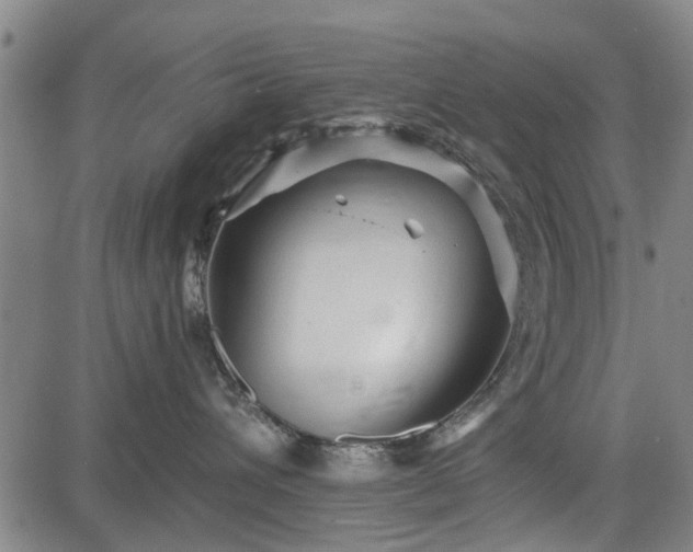 X0000083610432200702201255