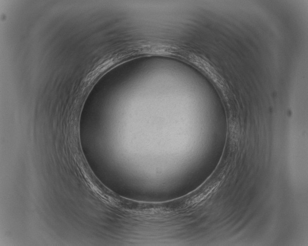 X0000083610433200702201254