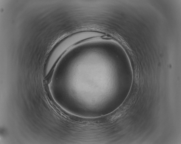 X0000083610434200702201254