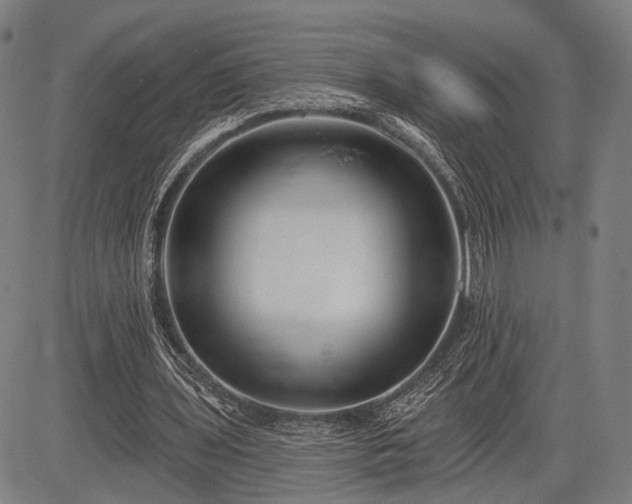 X0000083610435200702201254